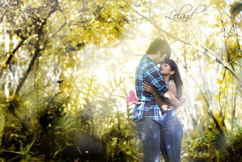 Love - Kostenloses image #309027